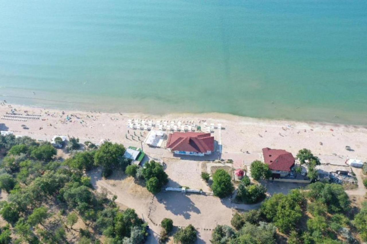 Пальма Хостел Odessa Dış mekan fotoğraf